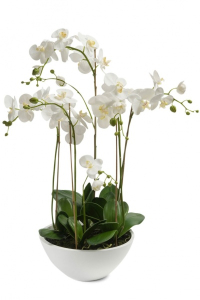 Bilde av Kunstig Majestetisk Orkide 80cm